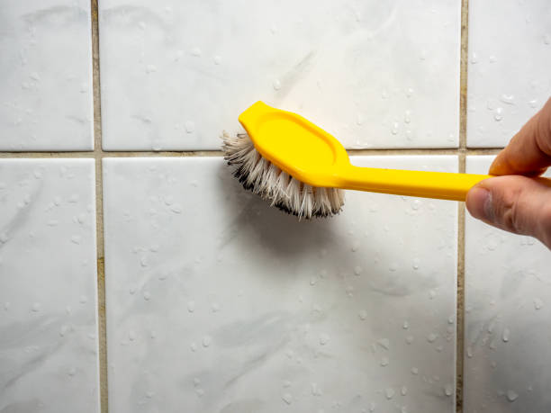 Best Mold Cleaning Services  in Amory, MS
