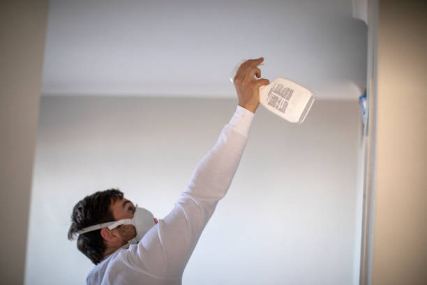Best Mold Removal and Inspection  in Amory, MS