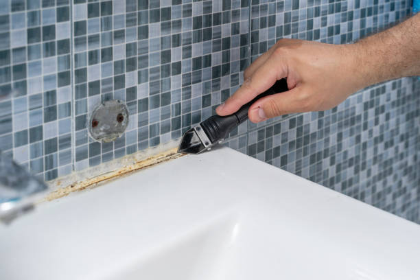 Best Residential Mold Removal  in Amory, MS