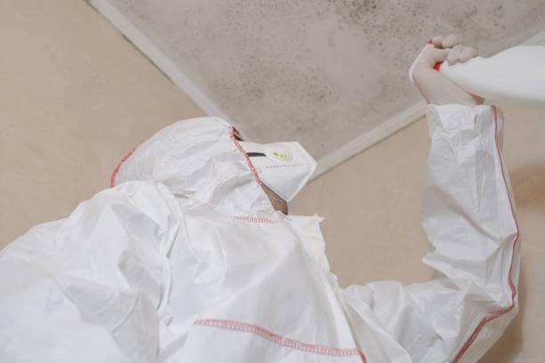 Amory, MS Mold Removal Company